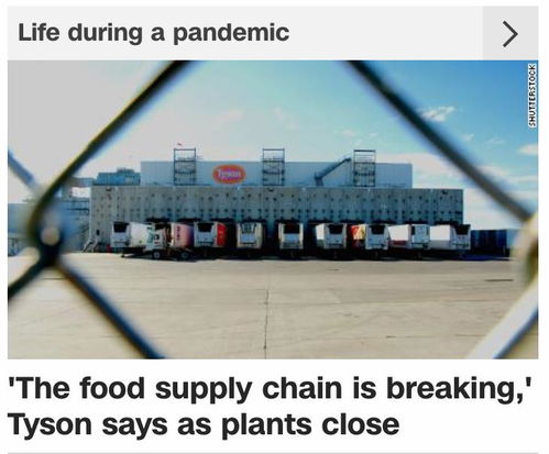 泰森食品工厂关闭警示 美国食品供应链的脆弱性及管理挑战